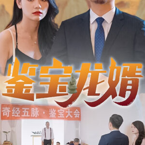 鉴宝龙婿 鉴宝龙婿